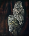 Parliament of Owls, Marilyn Manwaring